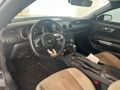 2023 Ford Mustang EcoBoost