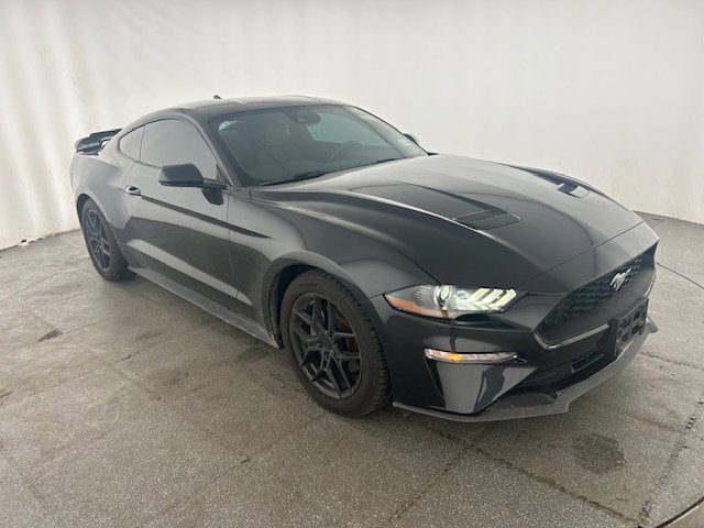 2023 Ford Mustang EcoBoost