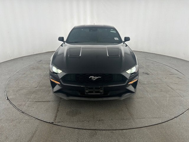 2023 Ford Mustang EcoBoost