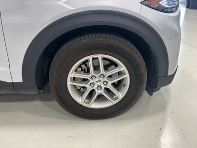 2026 Ford Explorer XLT