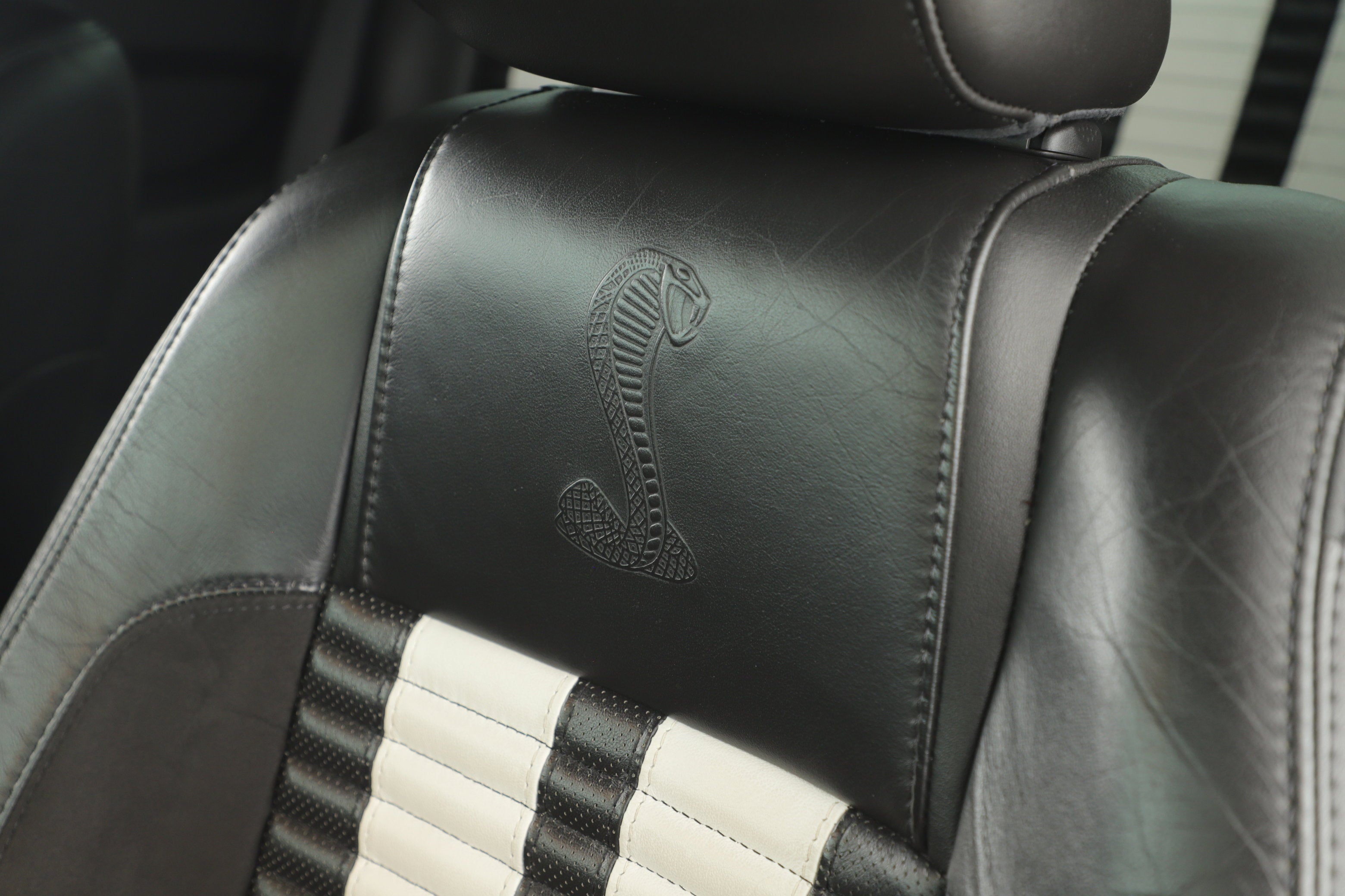 2010 Ford Mustang GT500