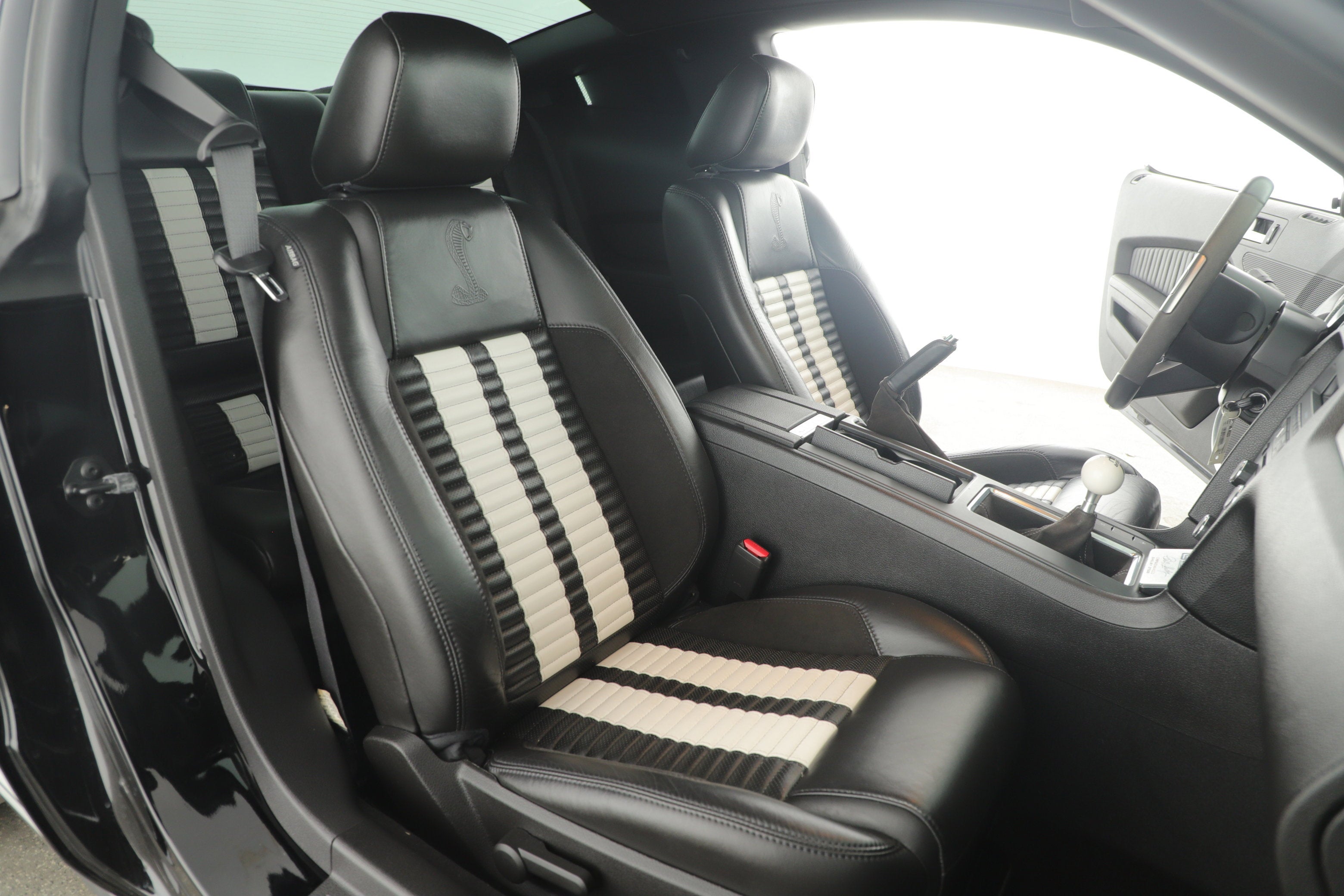 2010 Ford Mustang GT500