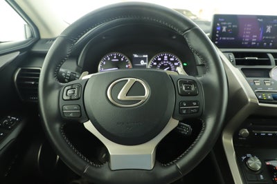 2019 Lexus NX LUXU