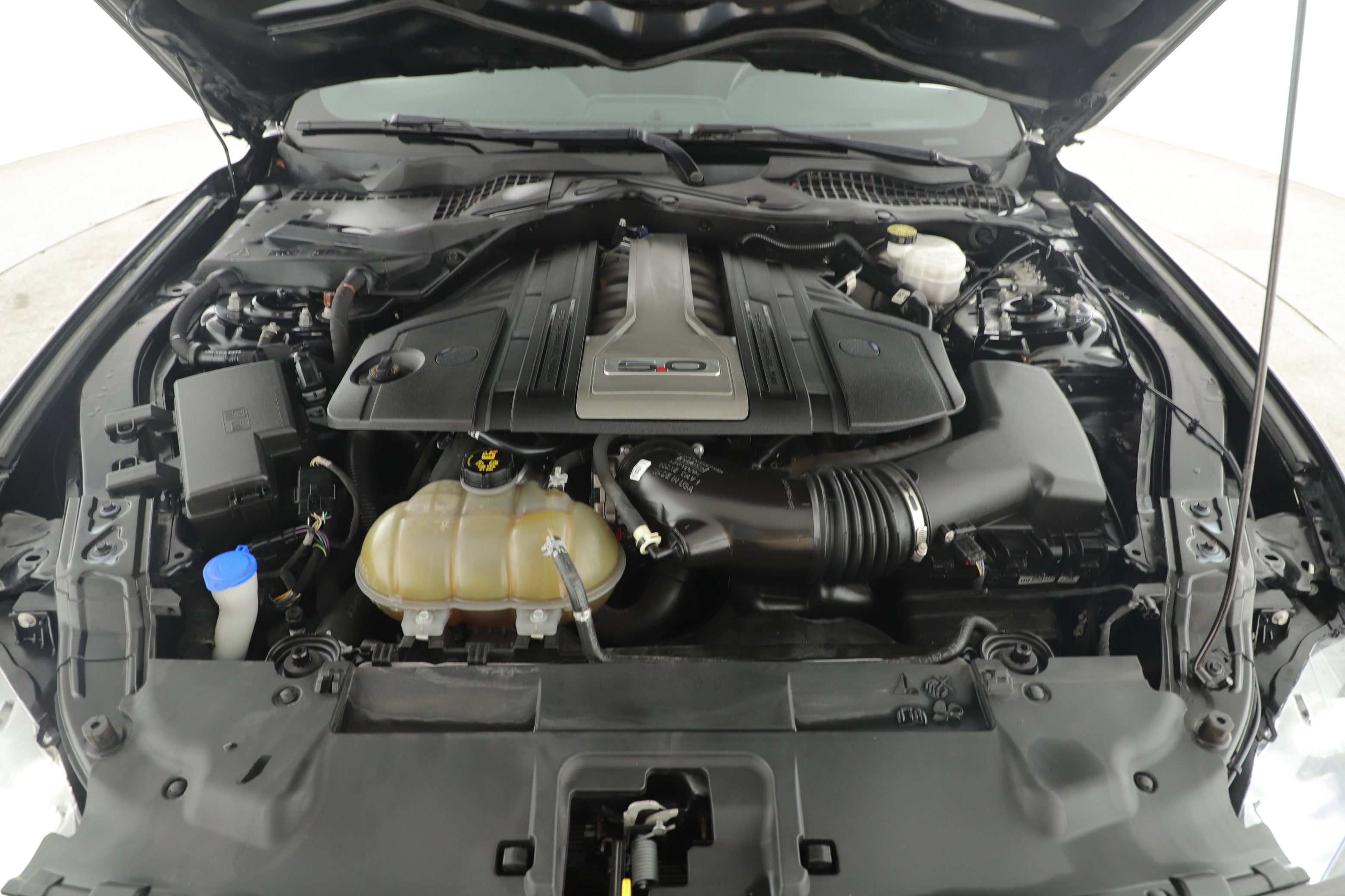 2020 Ford Mustang GT Fastback