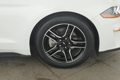 2023 Ford Mustang EcoBoost