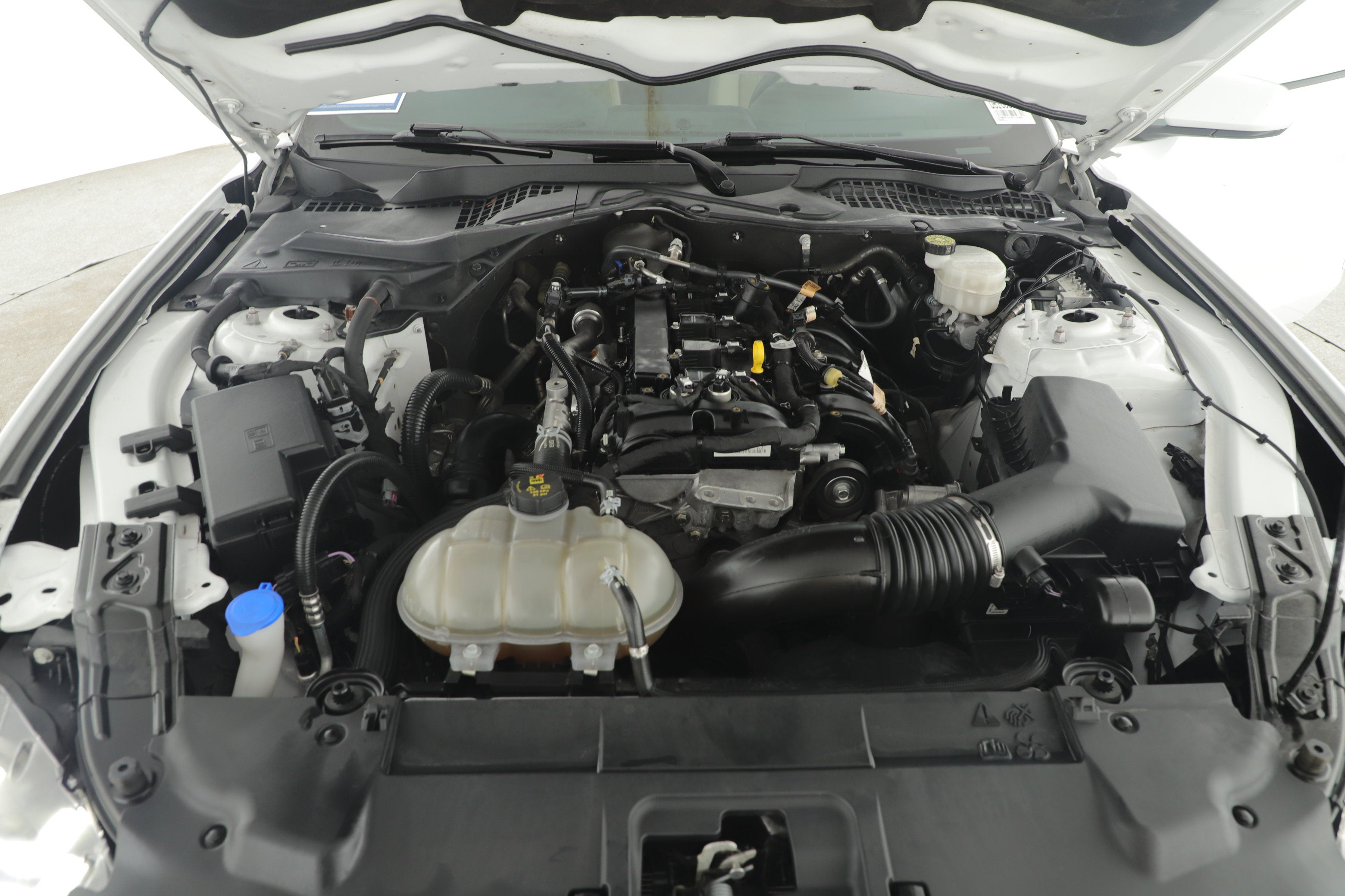 2023 Ford Mustang EcoBoost