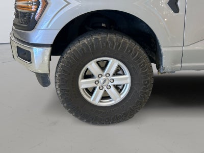 2024 Ford F-150 XL